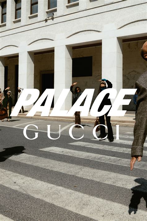 nuova collab di gucci